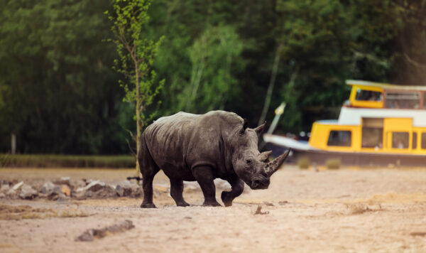 Safaripark Beekse Bergen © Copyright Safaripark Beekse Bergen