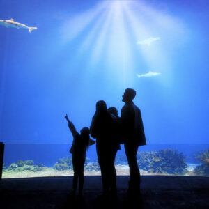 Burgers Zoo Arnhem © Copyright Burgers Zoo