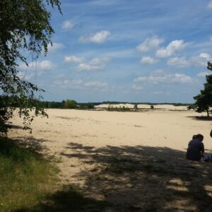 Loonse Drunense Duinen © Copyright Funguide.nl