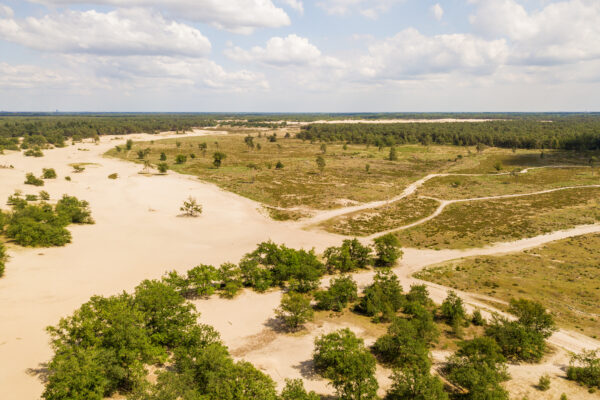 Loonse & Drunense Duinen © Copyright Brabant Partners