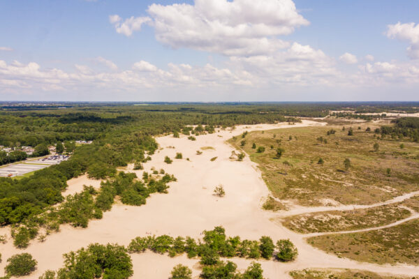 Loonse & Drunense Duinen © Copyright Brabant Partners