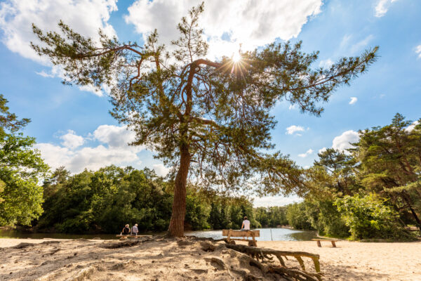 Loonse & Drunense Duinen © Copyright Brabant Partners