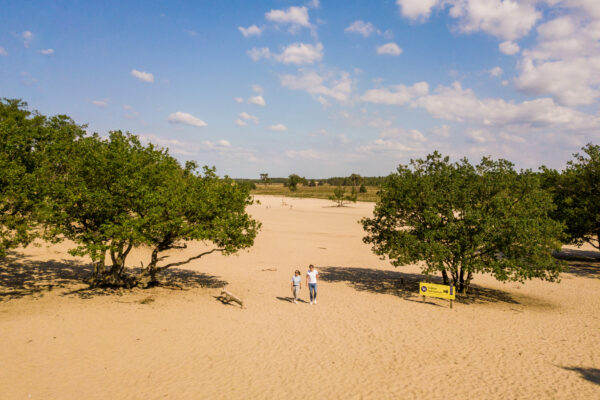 Loonse & Drunense Duinen © Copyright Brabant Partners