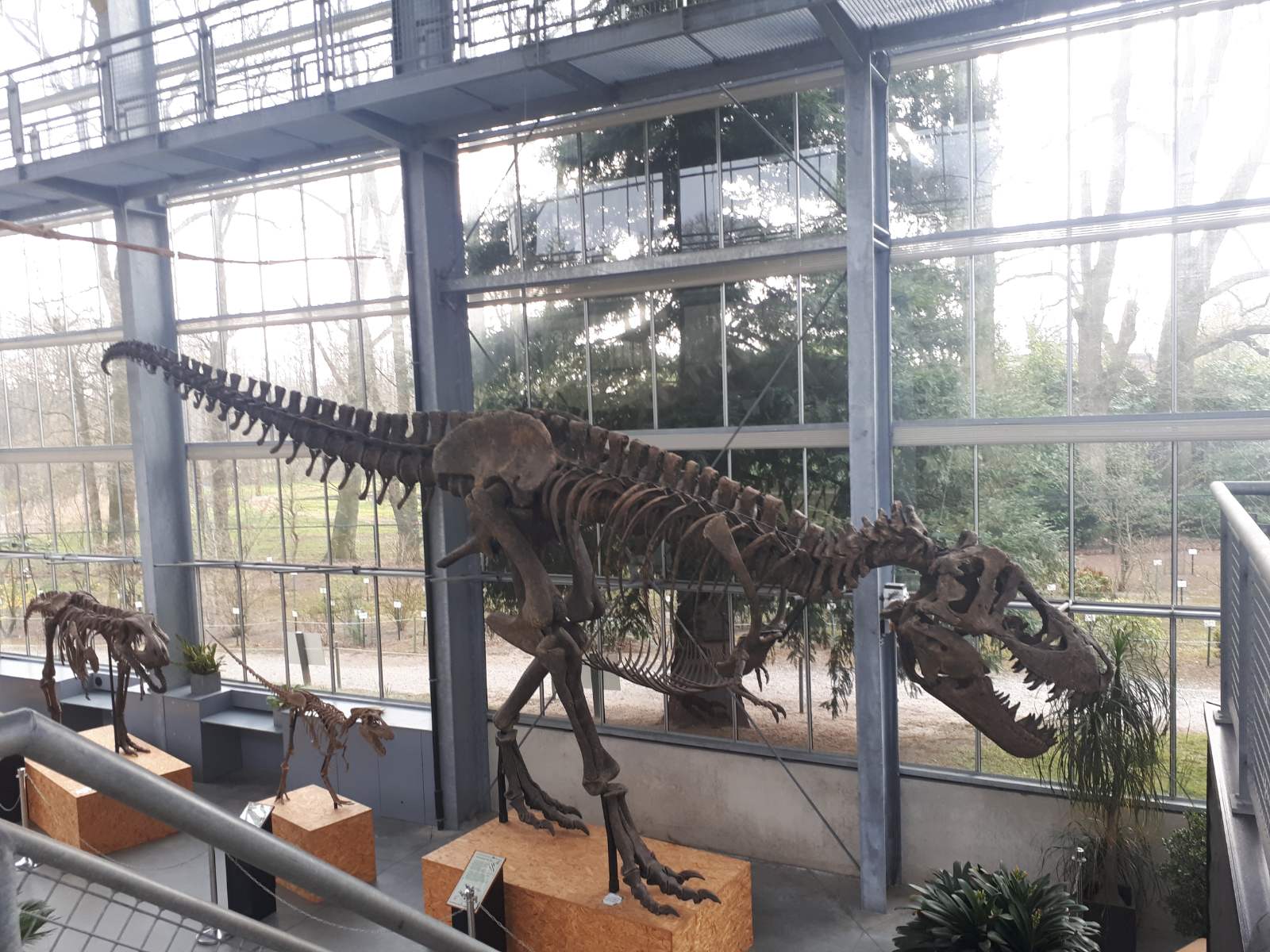 Oertijdmuseum © Copyright Funguide.nl