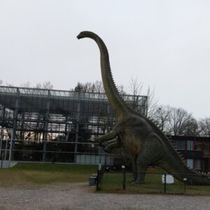 Oertijdmuseum © Copyright Funguide.nl