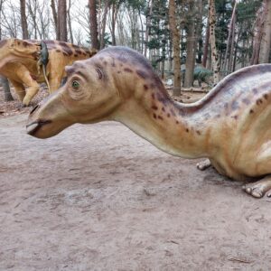 Oertijdmuseum © Copyright Funguide.nl