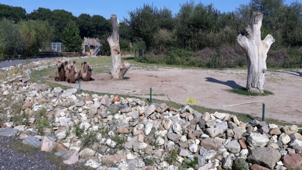 Zie-ZOO © Copyright Funguide.nl