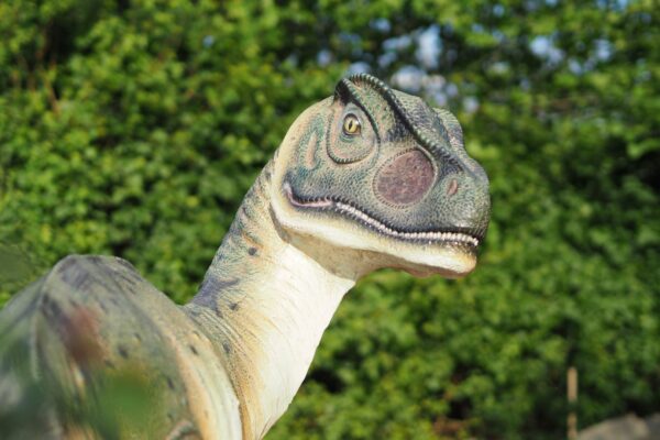 Dinoland Zwolle © Copyright Dinoland Zwolle