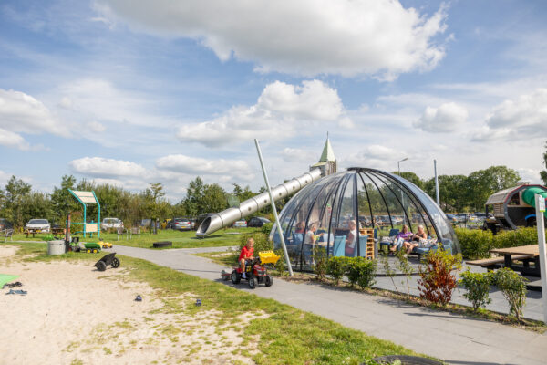 Drentse Koe © Copyright Drentse Koe