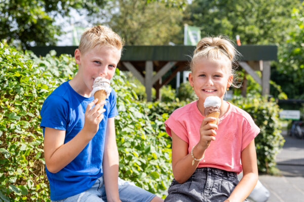 Drentse Koe © Copyright Drentse Koe