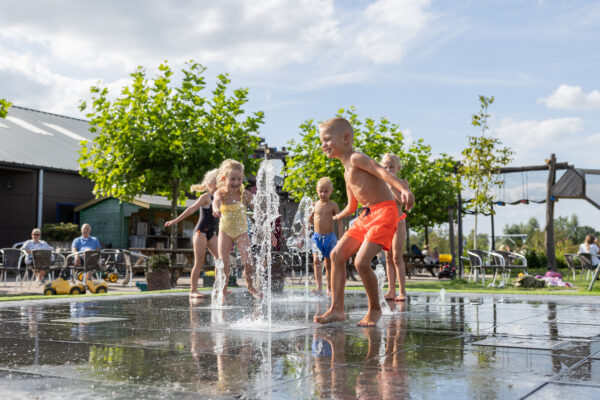 Drentse Koe © Copyright Drentse Koe