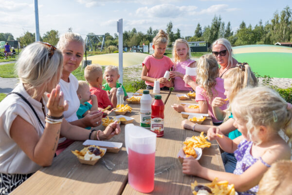 Drentse Koe © Copyright Drentse Koe