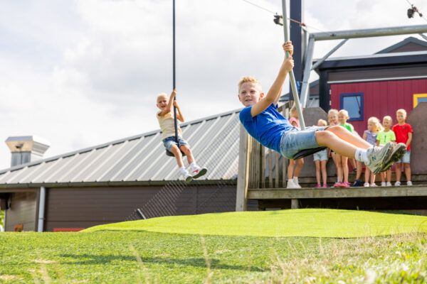 Drentse Koe © Copyright Drentse Koe