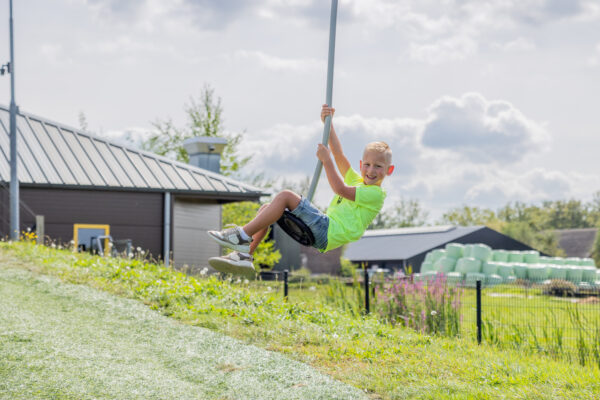 Drentse Koe © Copyright Drentse Koe