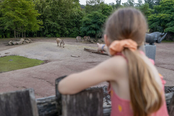 GaiaZOO Kerkrade © Copyright GaiaZOO