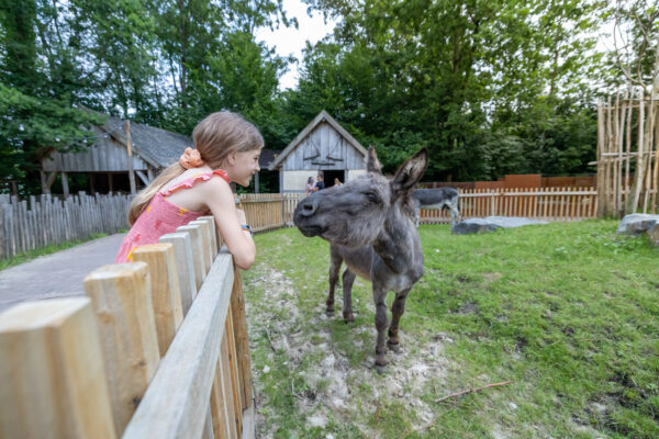 GaiaZOO Kerkrade © Copyright GaiaZOO
