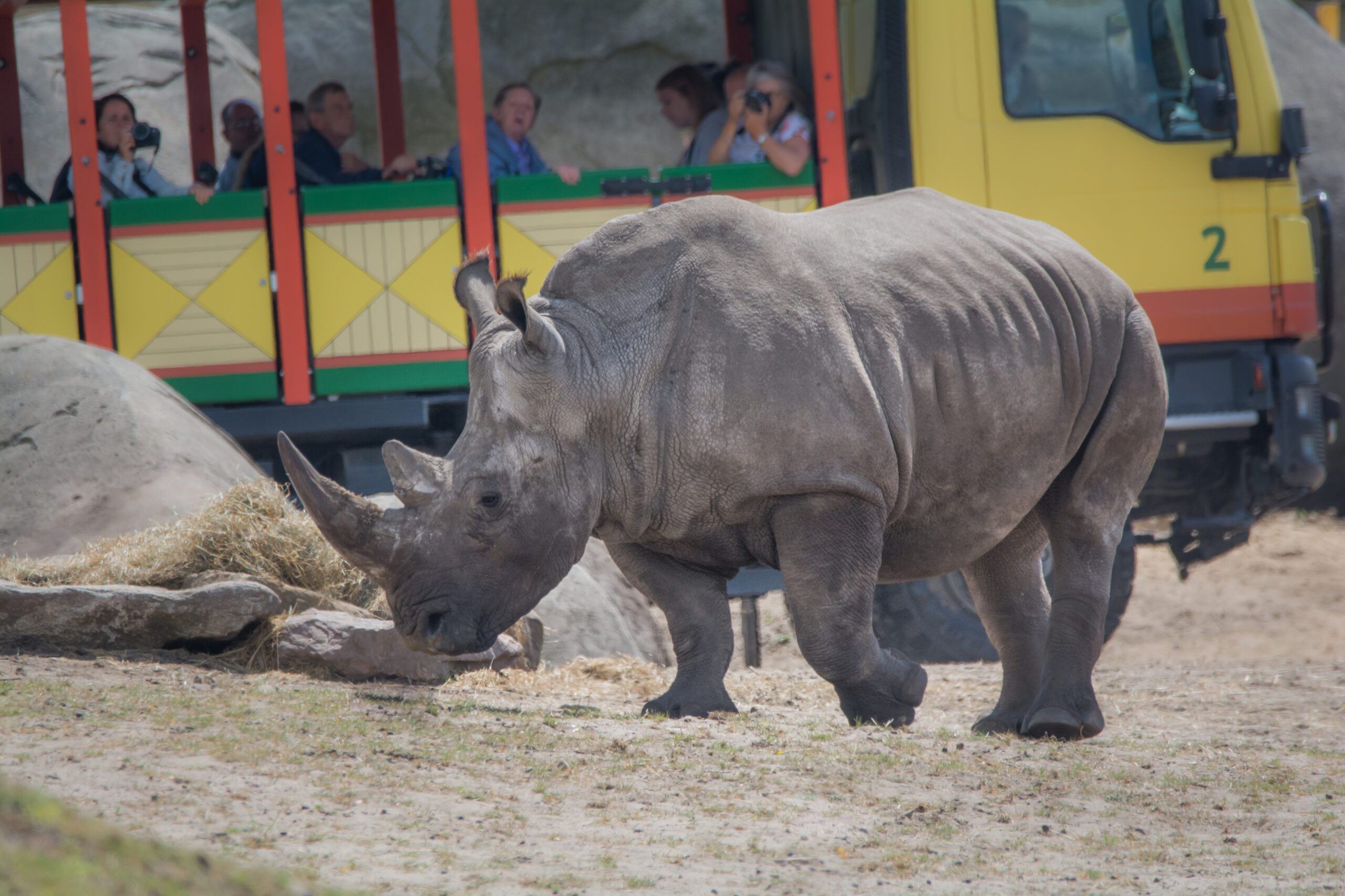 Wildlands Emmen © Copyright Wildlands