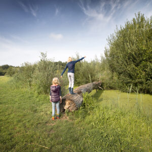 Belevenissenbos © Visit Flevoland