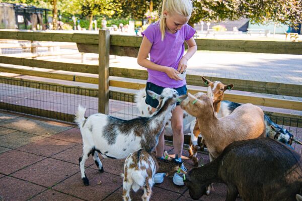 Speelboerderij Binky © Copyright Binky