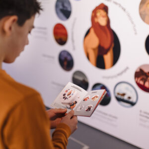 Storyworld © Storyworld / Forum Groningen
