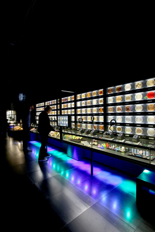ARTIS-Micropia © Copyright ARTIS