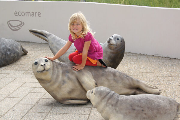 Ecomare © Copyright Stichting Texels Museum