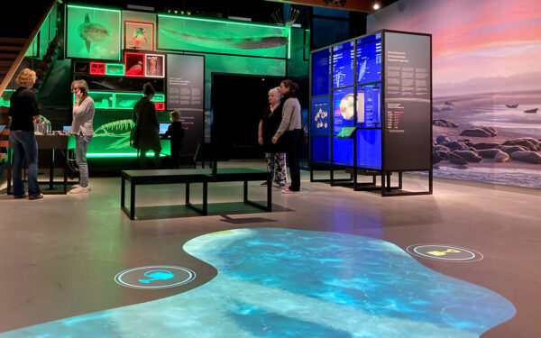 Ecomare © Copyright Stichting Texels Museum