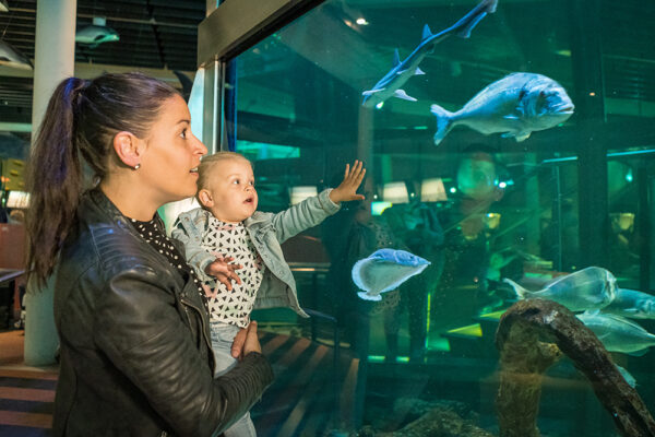 Ecomare © Copyright Stichting Texels Museum