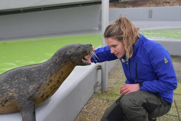 Ecomare © Copyright Stichting Texels Museum