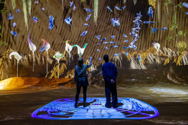 Nxt Museum © Copyright Nxt Museum - Balfua The Slollaleia - Still Processing Foto: Maarten Nauw