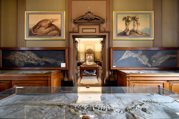 Teyler Museum © Copyright Teyler Museum
