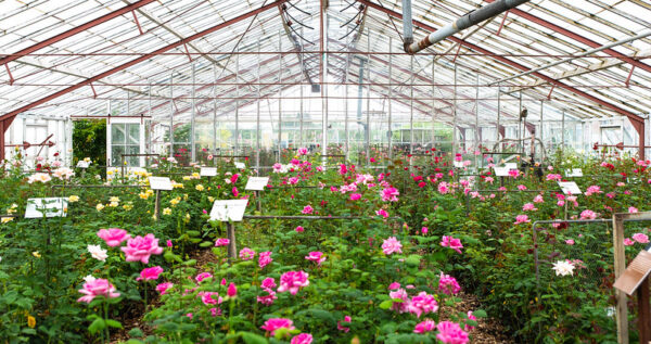Historische Tuin Aalsmeer © VisitAalsmeer | Credits Joyce Goverde