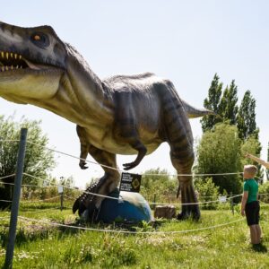 Dino Experience Park © Copyright Dino Experience Park