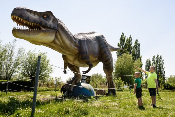 Dino Experience Park © Copyright Dino Experience Park
