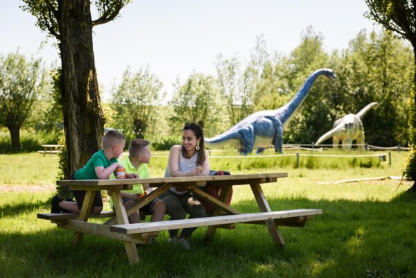 Dino Experience Park © Copyright Dino Experience Park