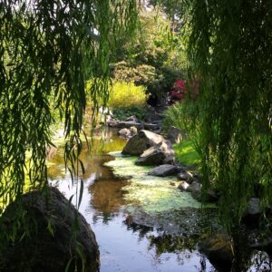 Hortus Overzee © Copyright Lars van der Heide via Wikimedia onder CC BY-SA 4.0