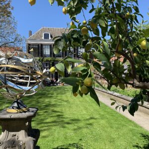 Botanische Tuin Universiteit © Via Wikimedia Djuna Vaesen onder CC BY 2.0