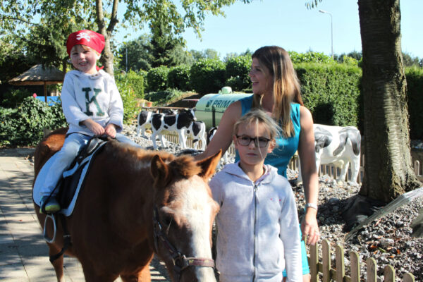 De Dwaze Herder © Copyright De Dwaze Herder