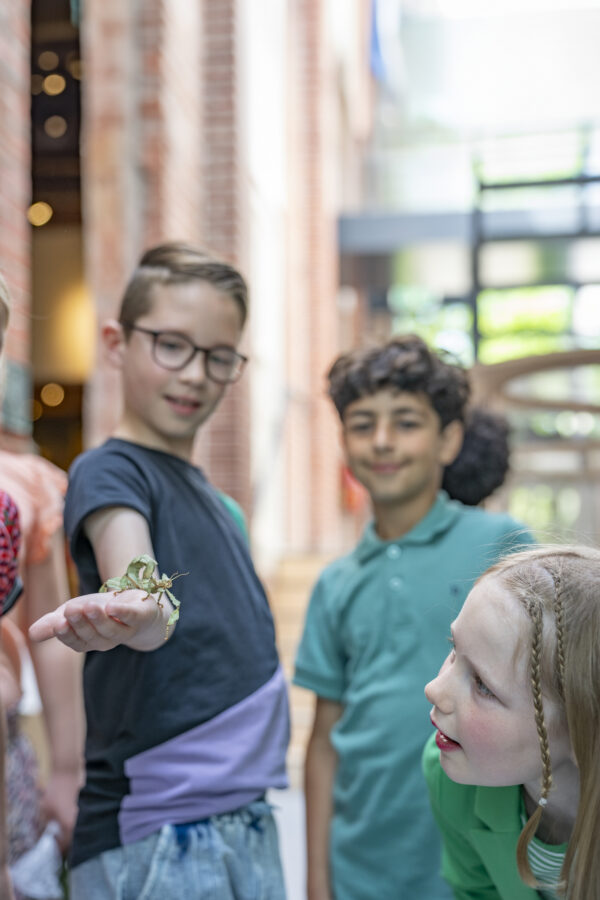 Museum Natura Docet © Copyright Natura Docet