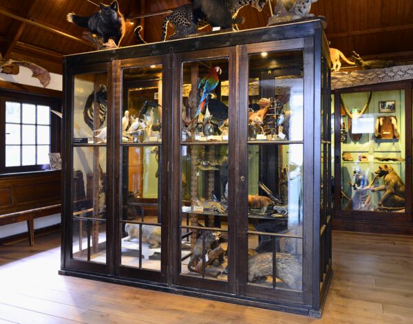 Museum Natura Docet © Copyright Natura Docet