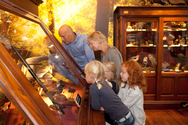 Museum Natura Docet © Copyright Natura Docet