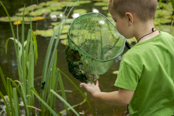 Museum Natura Docet © Copyright Natura Docet