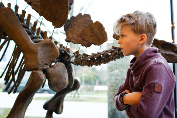 Museum Natura Docet © Copyright Natura Docet