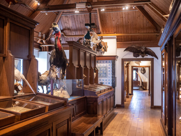 Museum Natura Docet © Copyright Natura Docet