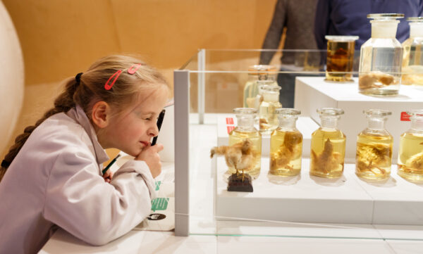 Museum Natura Docet © Copyright Natura Docet