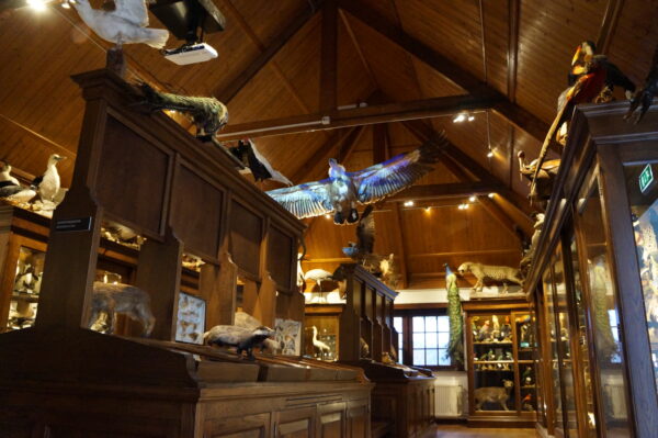 Museum Natura Docet © Copyright Natura Docet
