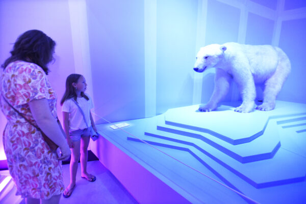 Wereldmuseum Rotterdam © Copyright Wereldmuseum Foto: Peter Hilz