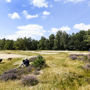 Kaapse Bossen © Copyright RBT Heuvelrug & Vallei