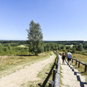 Kwintelooyen Rhenen © Copyright RBT Heuvelrug & Vallei