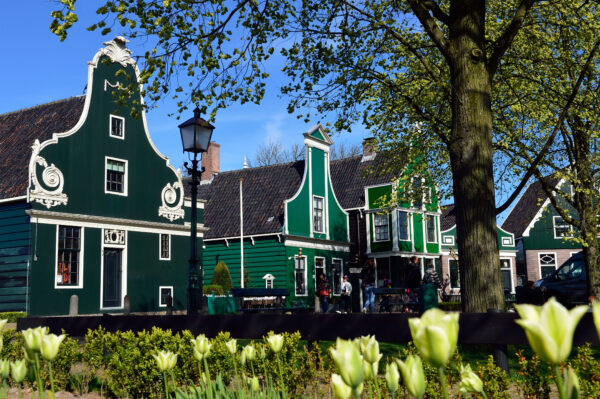 De Zaanse Schans © Copyright De Zaanse Schans